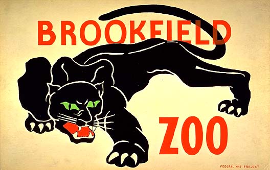 brookfield zoo - black panther